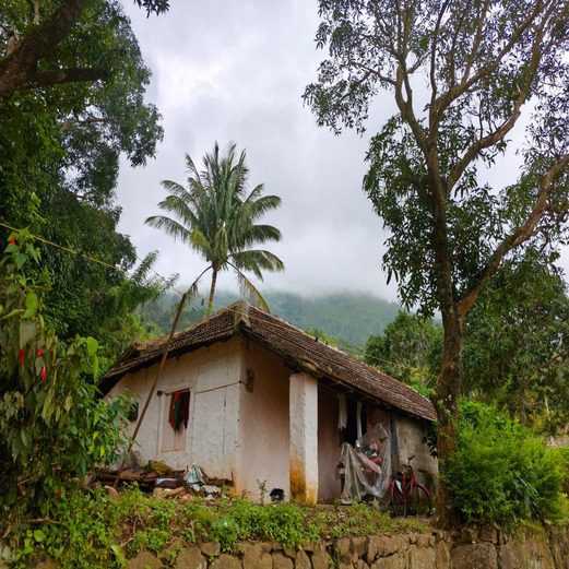 Houses at Ponmudi